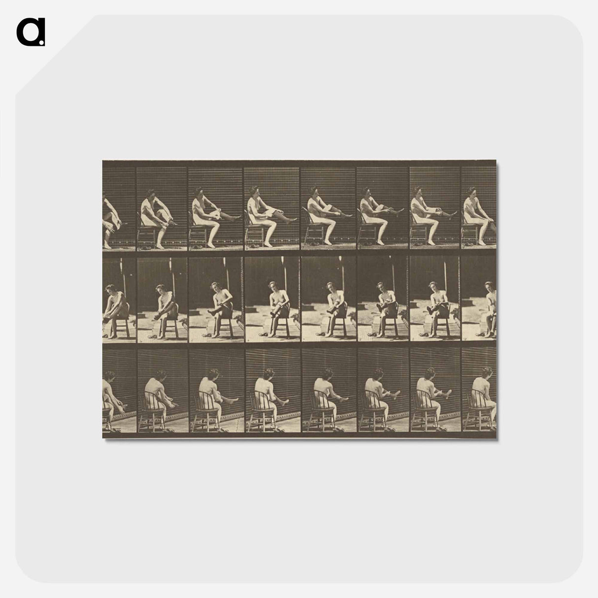 アートポストカード-Animal Locomotion
- エドワード マイブリッジ Postcard.
