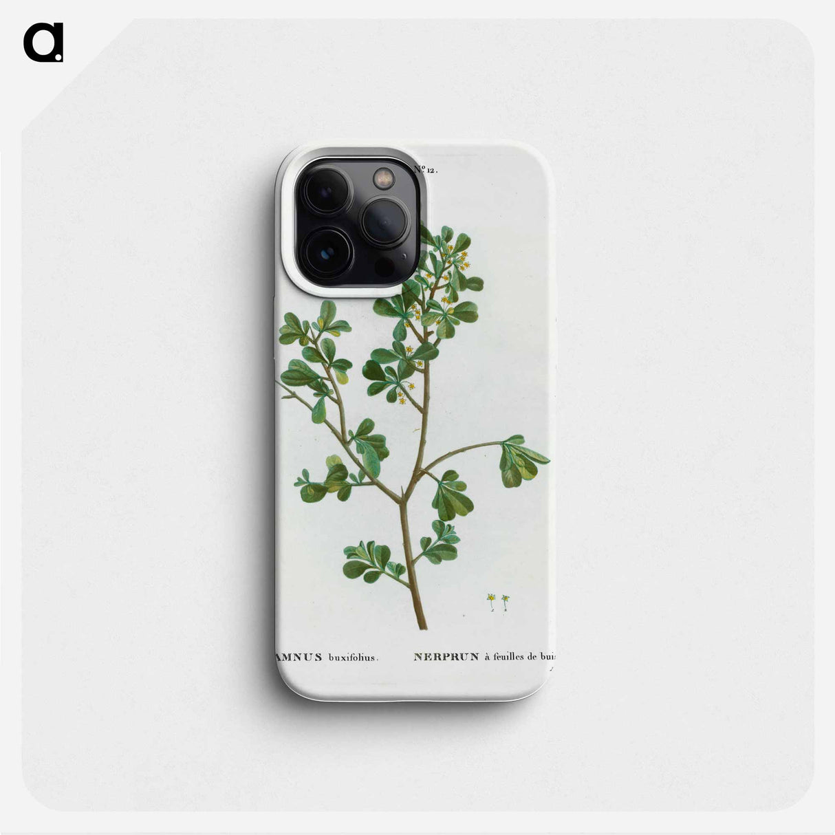 European buckthorn - Pierre Joseph Redouté Phone Case.