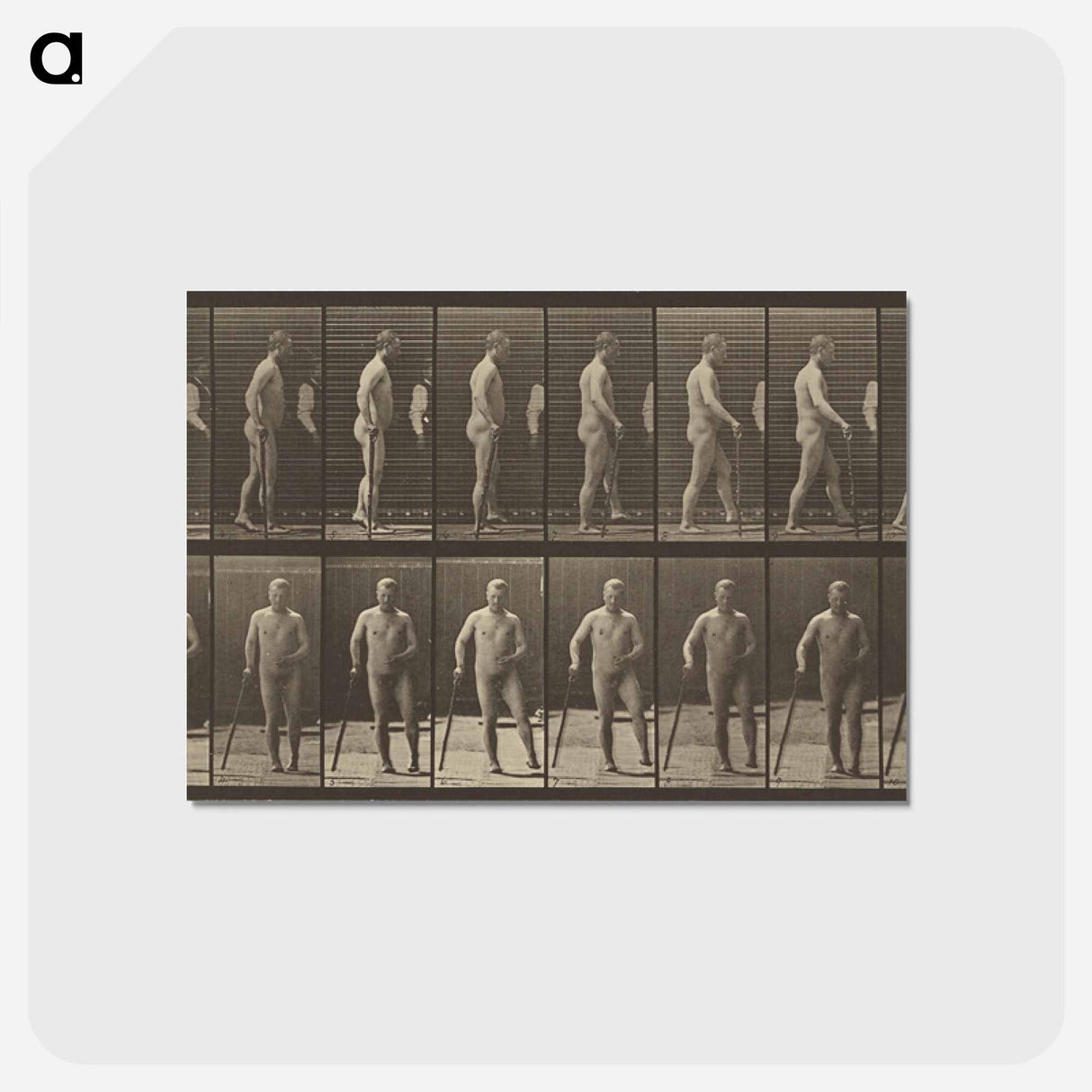 アートポストカード-Animal Locomotion
- エドワード マイブリッジ Postcard.
