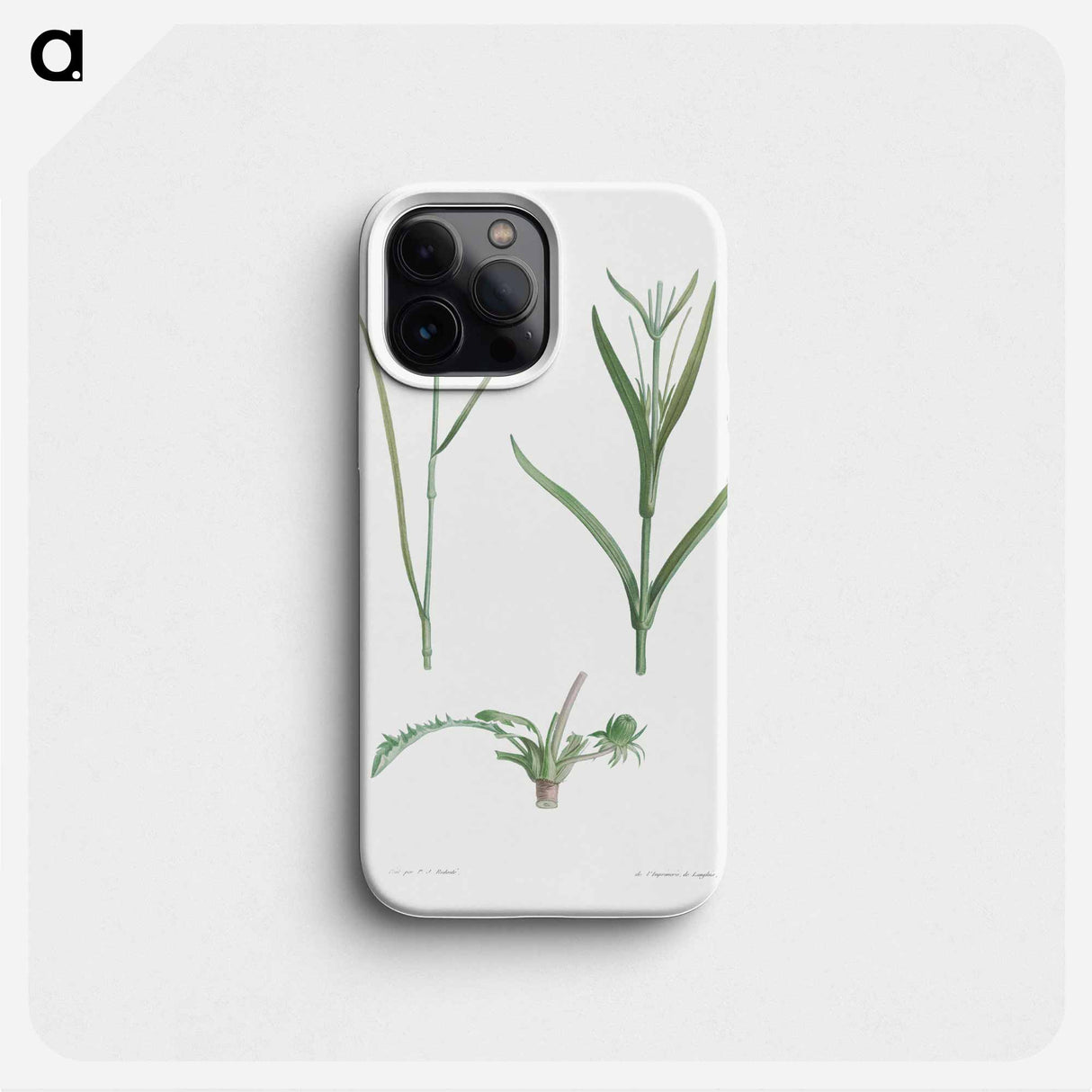 Plant stem - Pierre Joseph Redouté Phone Case.
