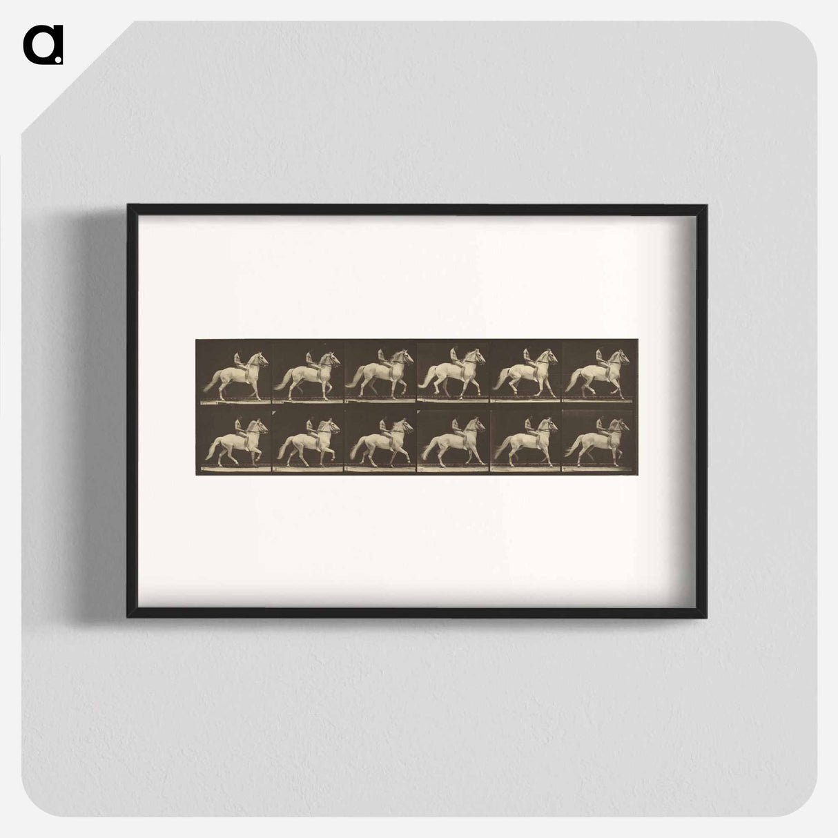 アートポスター-Animal Locomotion
- エドワード マイブリッジ Poster.