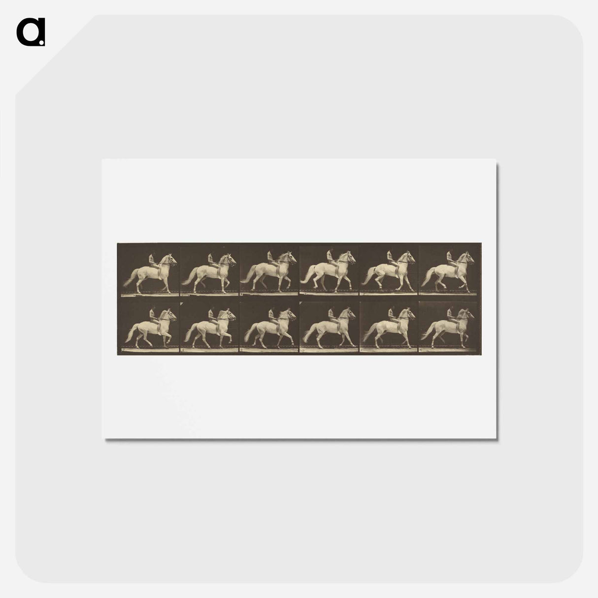 アートポストカード-Animal Locomotion
- エドワード マイブリッジ Postcard.