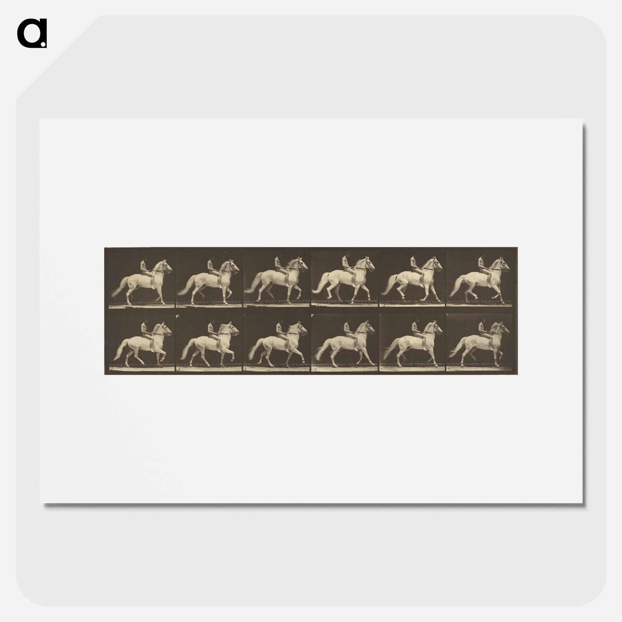 アートポスター-Animal Locomotion
- エドワード マイブリッジ Poster.