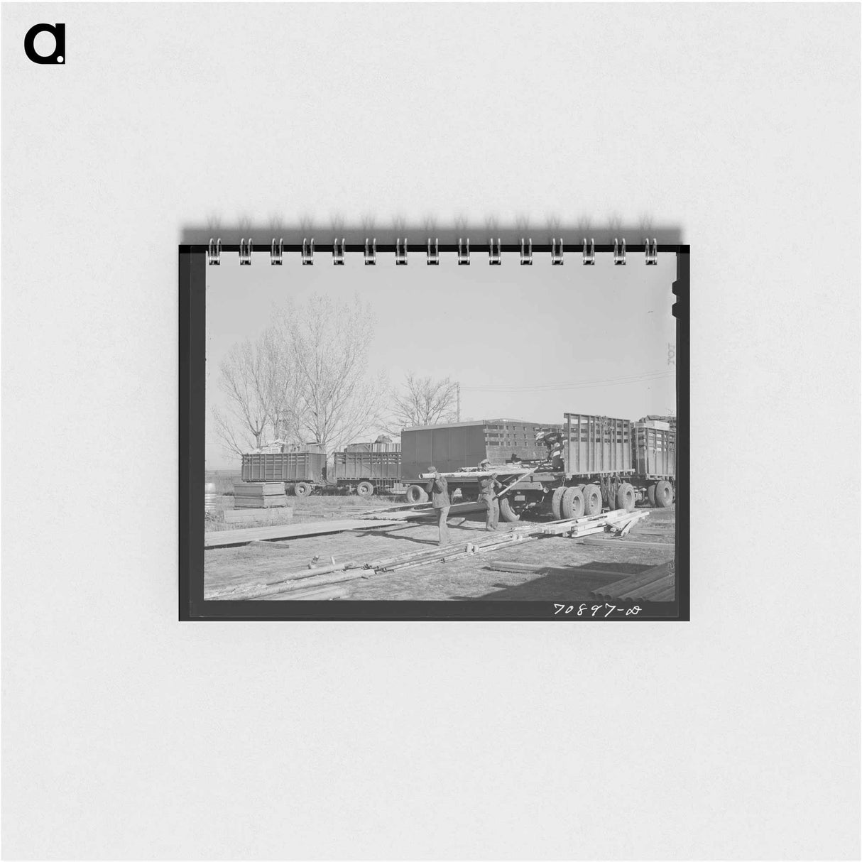 アートメモ帳-Dehydrated Cabbage Quality
- ラッセル リー Memo.