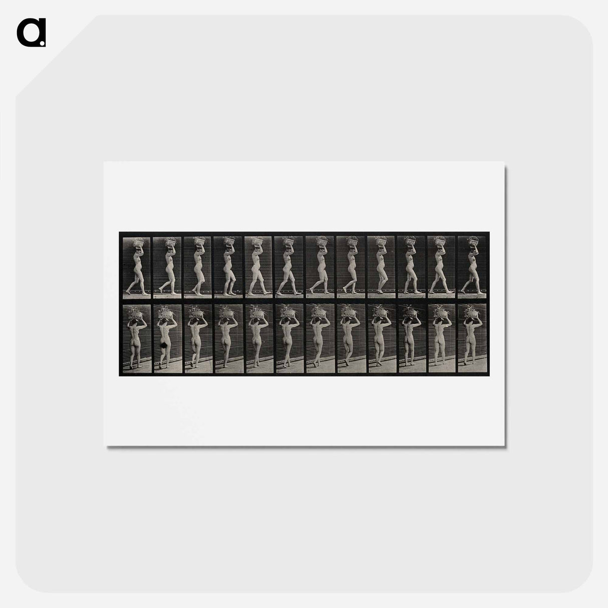アートポストカード-Woman with Load
- エドワード マイブリッジ Postcard.