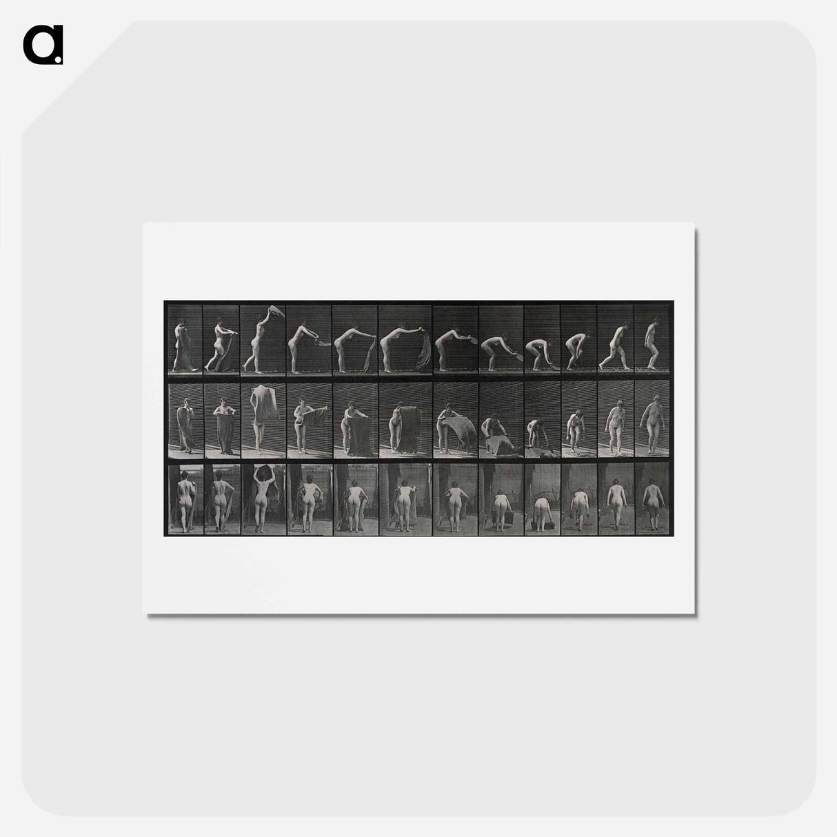 アートポストカード-Placing the Rug
- エドワード マイブリッジ Postcard.