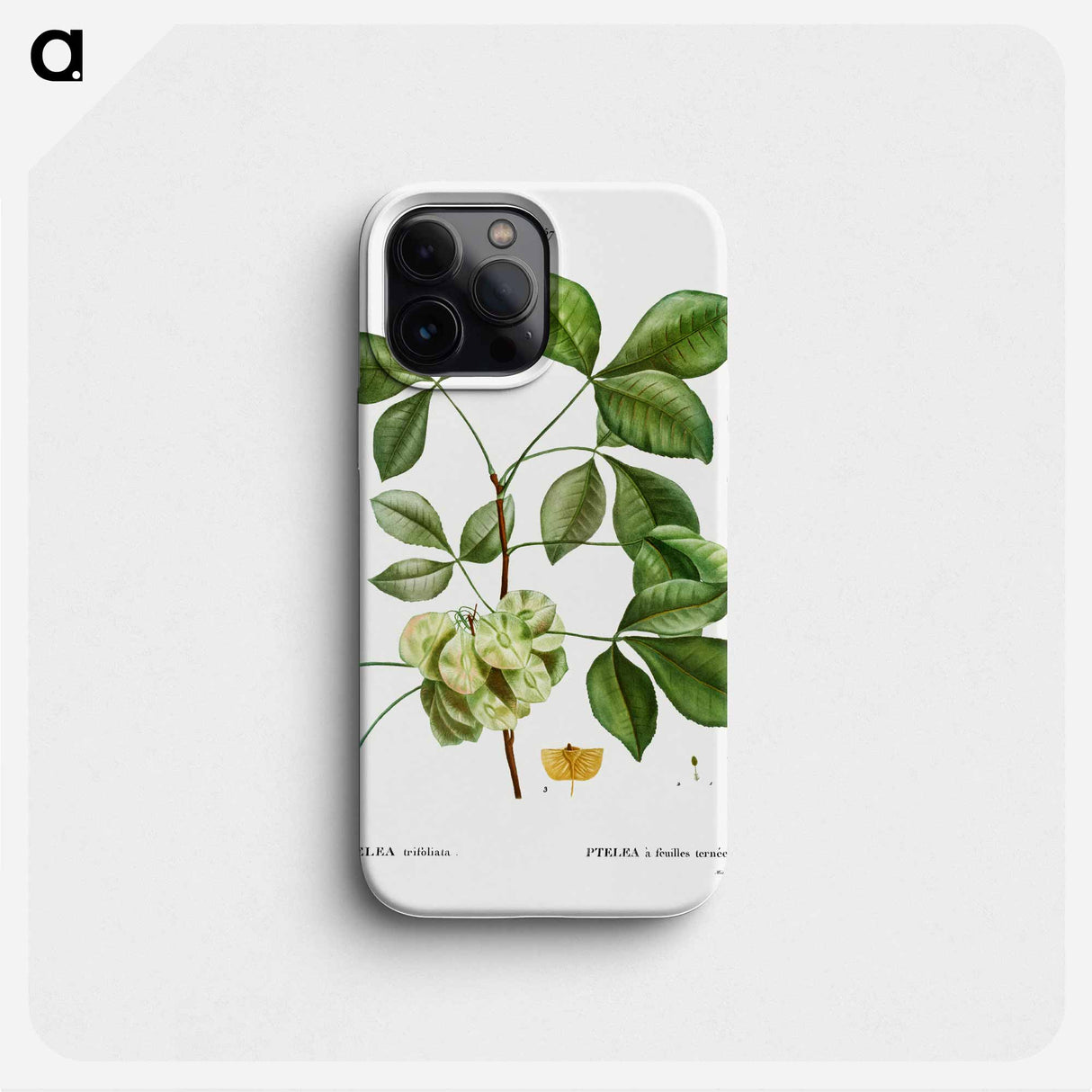 Common hoptree - ピエール ジョゼフ ルドゥーテ Phone Case.