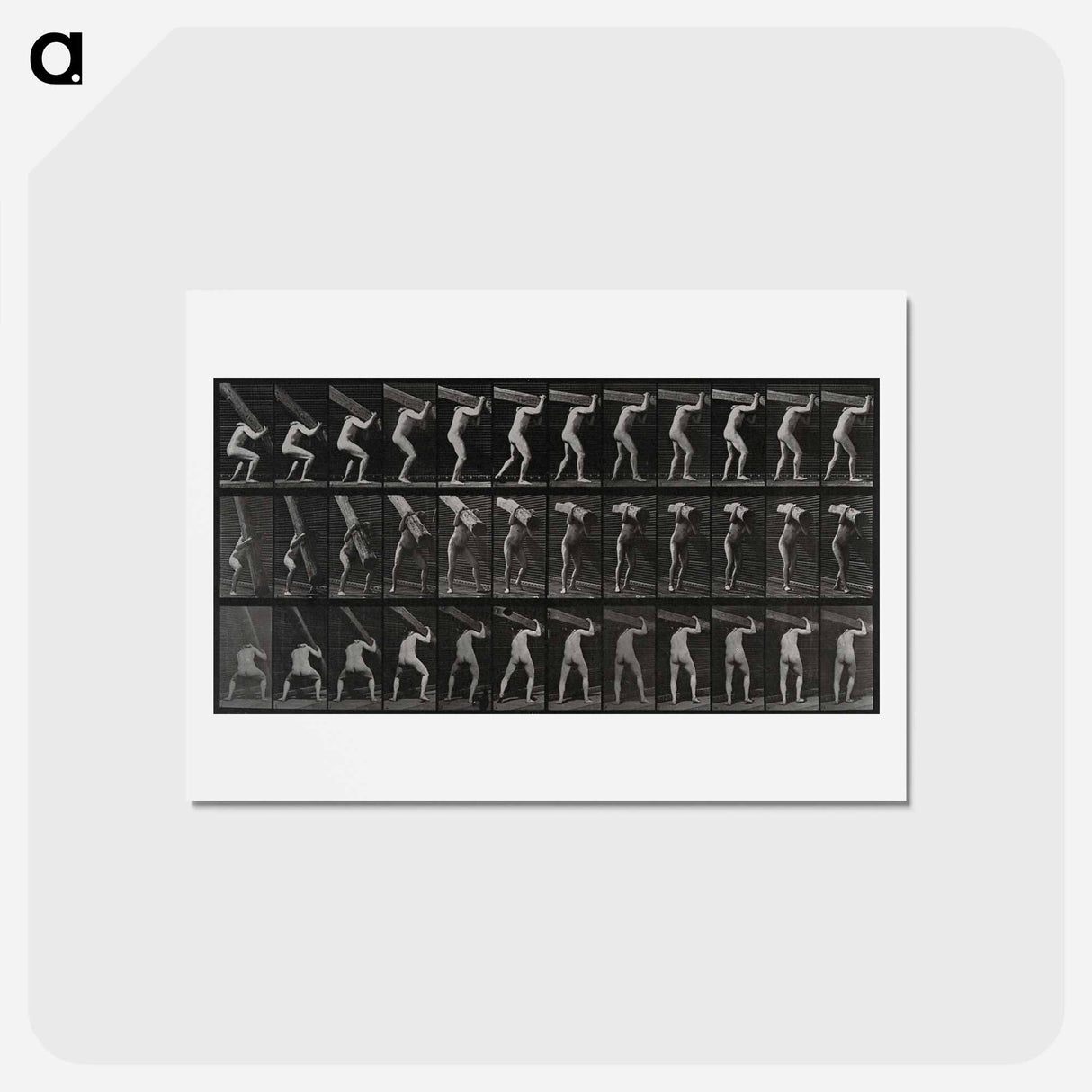 アートポストカード-Man with Trunk
- エドワード マイブリッジ Postcard.