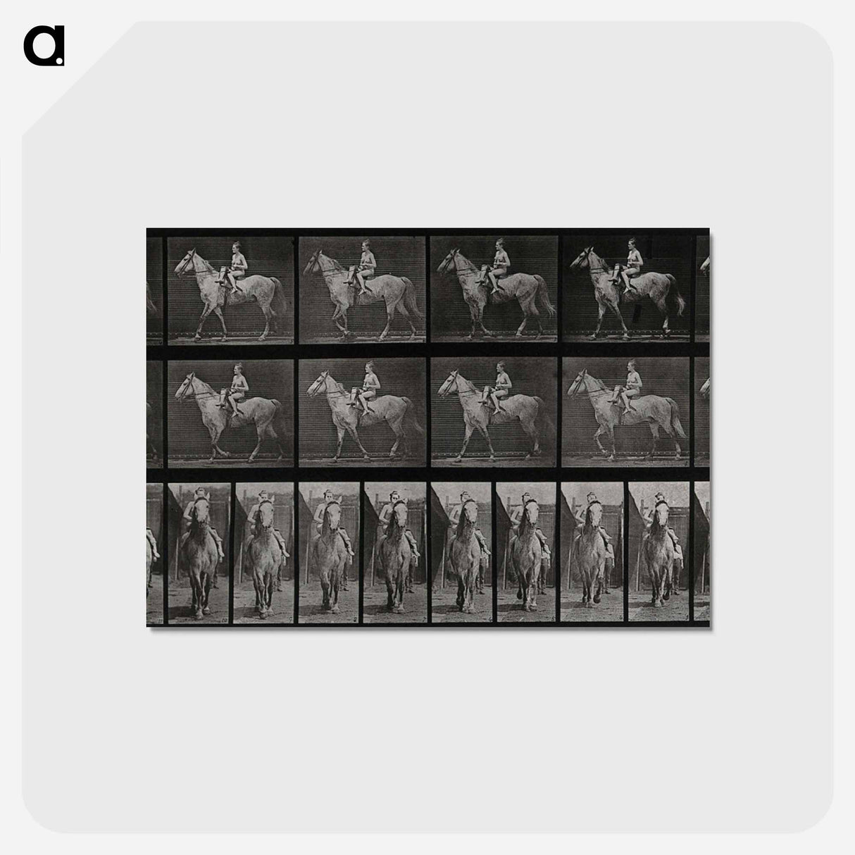 アートポストカード-Sidesaddle
- エドワード マイブリッジ Postcard.