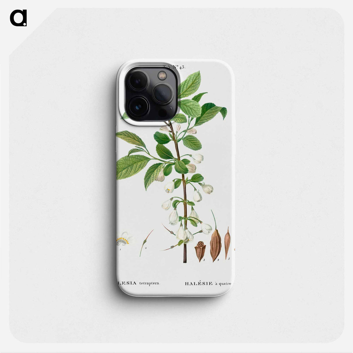 Mountain silverbell - ピエール ジョゼフ ルドゥーテ Phone Case.