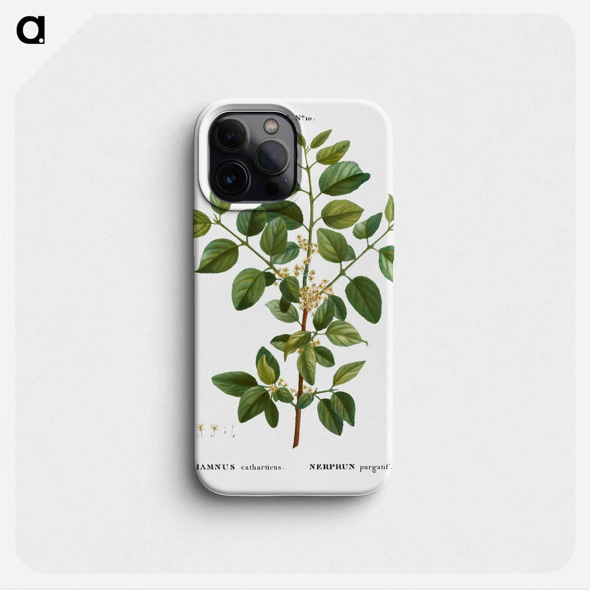 Common buckthorn - ピエール ジョゼフ ルドゥーテ Phone Case.