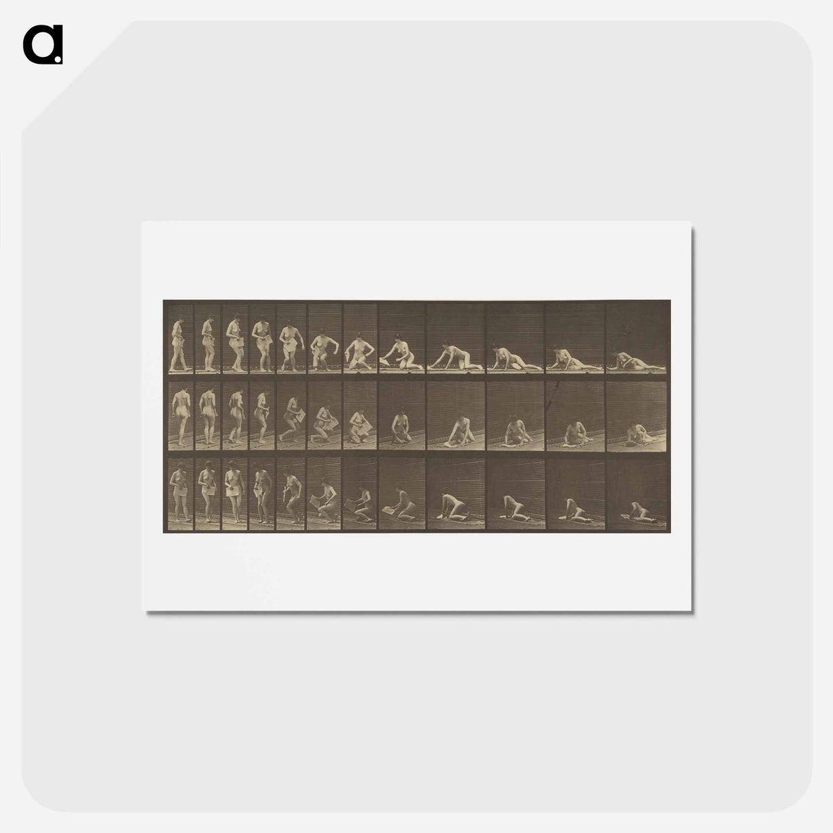 アートポストカード-Animal Locomotion
- エドワード マイブリッジ Postcard.