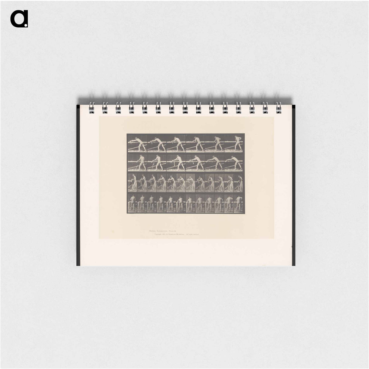 アートメモ帳-The Carpenter
- エドワード マイブリッジ Memo.