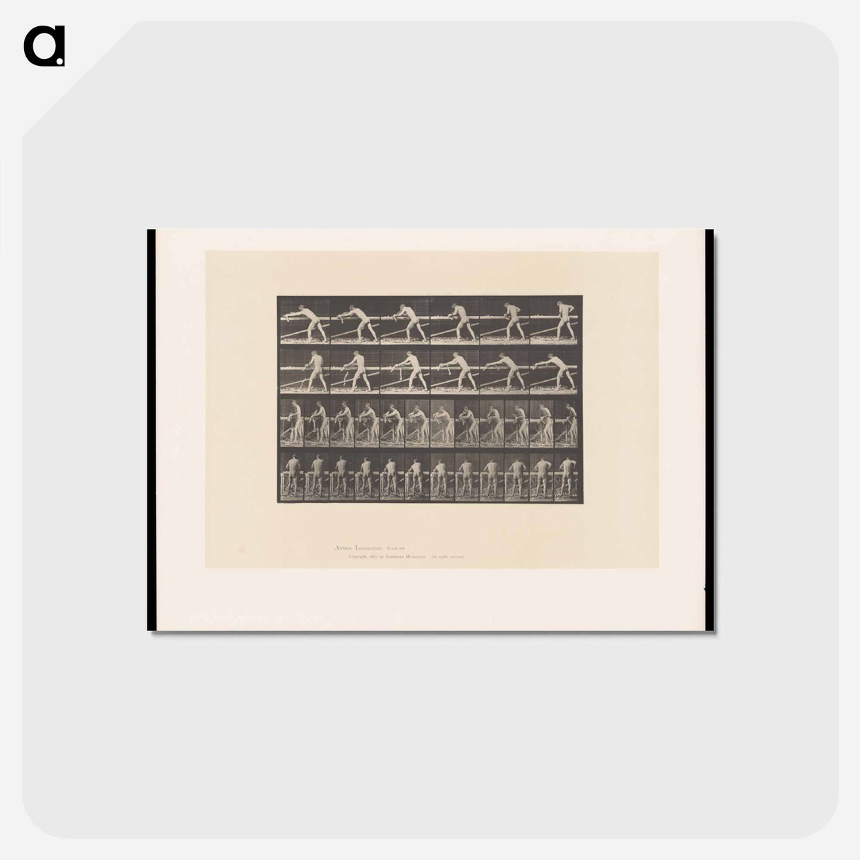 アートポストカード-The Carpenter
- エドワード マイブリッジ Postcard.