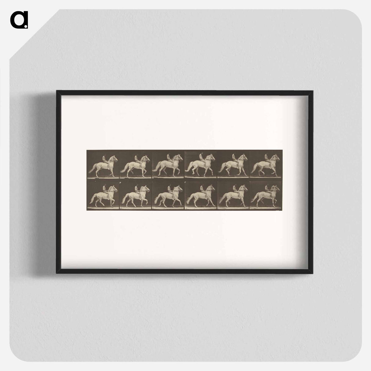 アートポスター-Animal Locomotion
- エドワード マイブリッジ Poster.