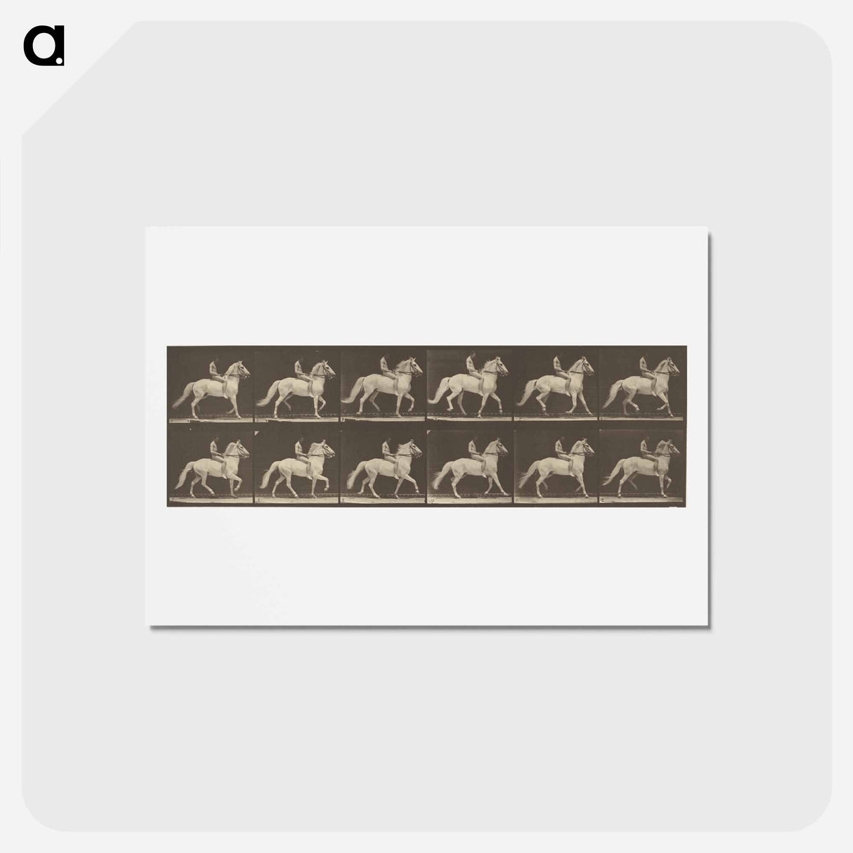 アートポストカード-Animal Locomotion
- エドワード マイブリッジ Postcard.