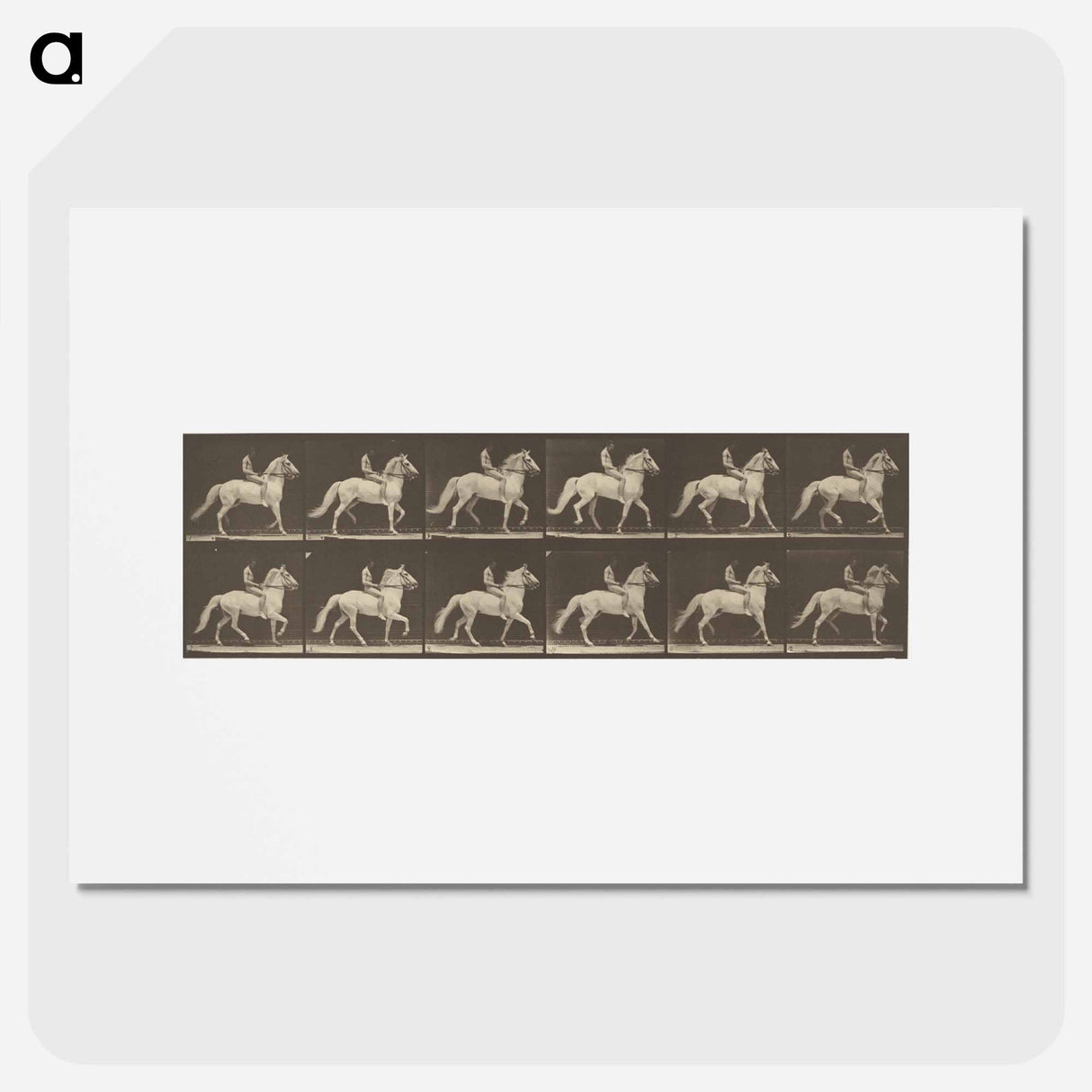 アートポスター-Animal Locomotion
- エドワード マイブリッジ Poster.