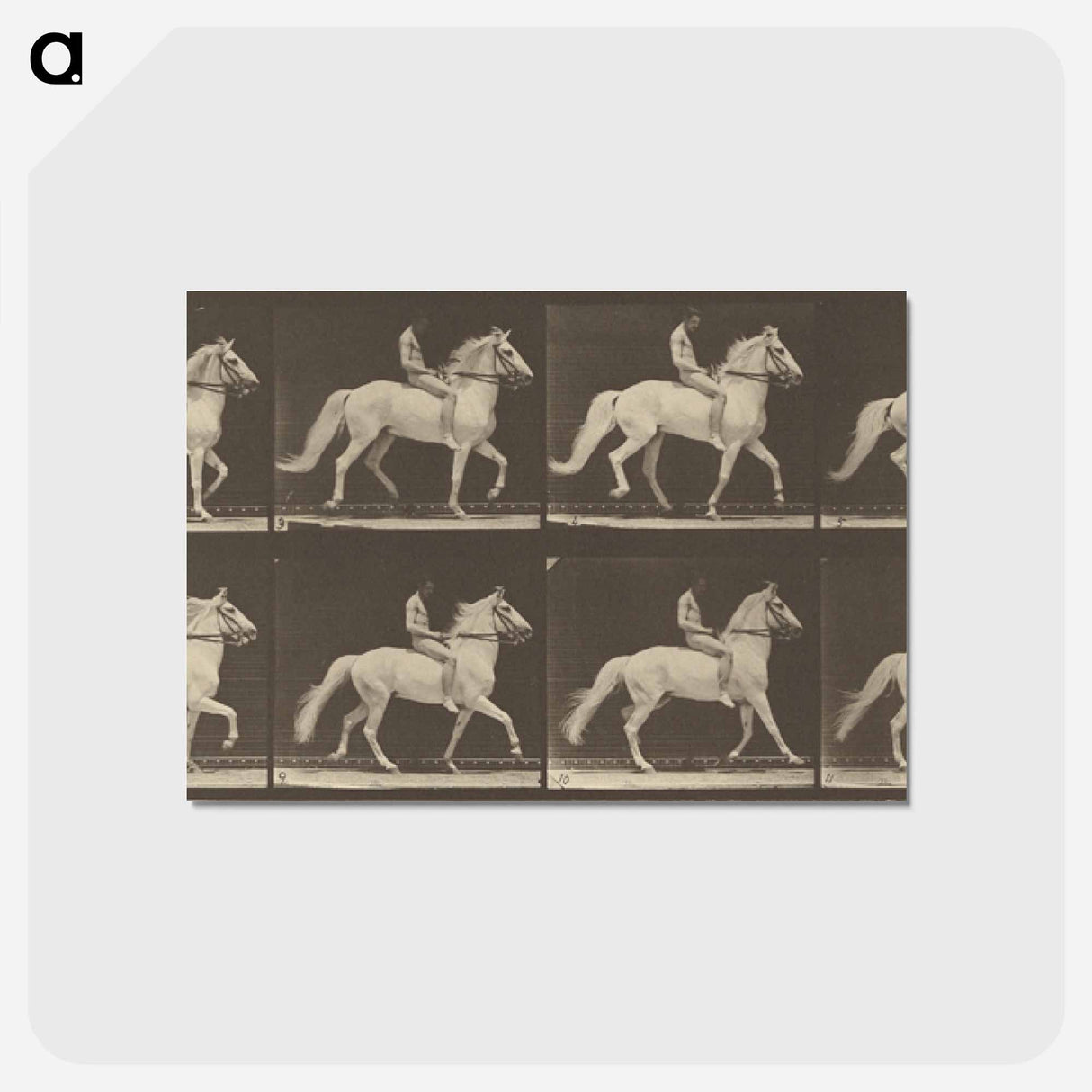 アートポストカード-Animal Locomotion
- エドワード マイブリッジ Postcard.