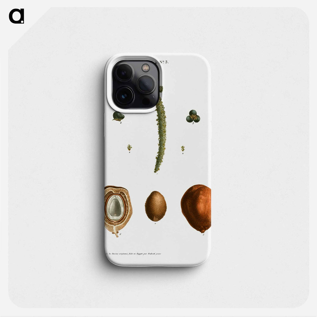 Date palm, Phoenix dactylifera - ピエール ジョゼフ ルドゥーテ Phone Case.