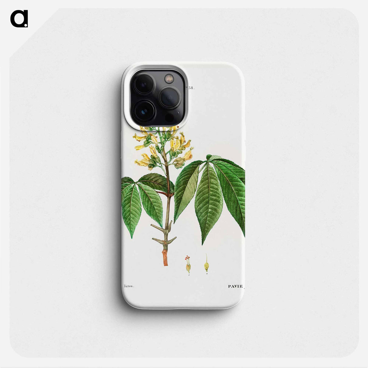 Pavia lutea - ピエール ジョゼフ ルドゥーテ Phone Case.