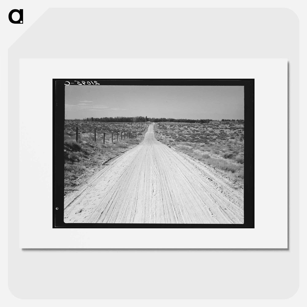 Untitled photo - Dorothea Lange Poster.