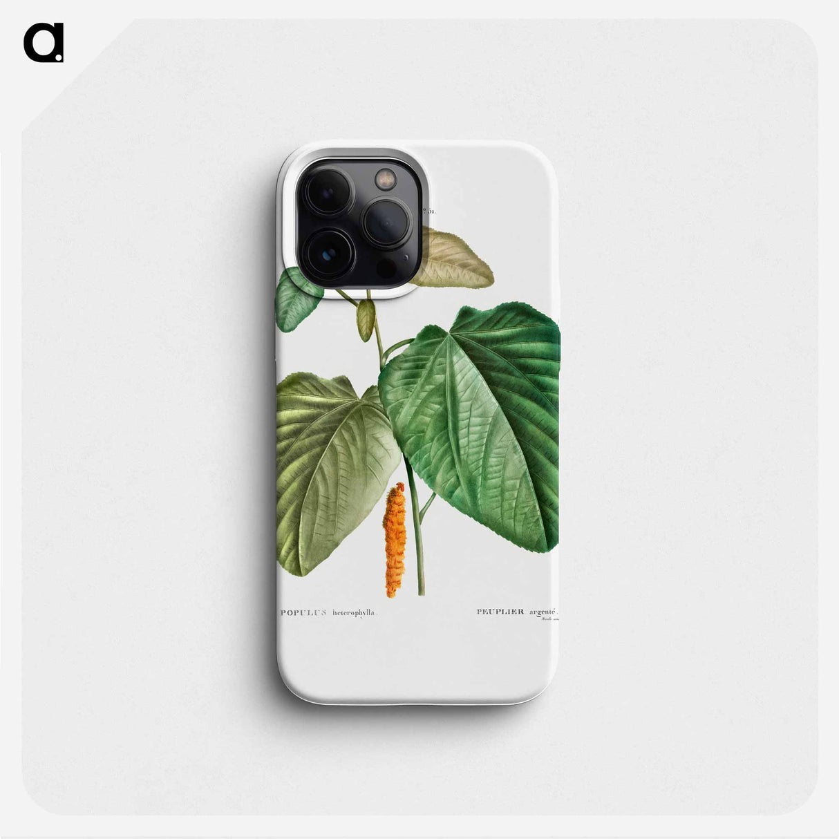 Downy poplar - Pierre Joseph Redouté Phone Case.