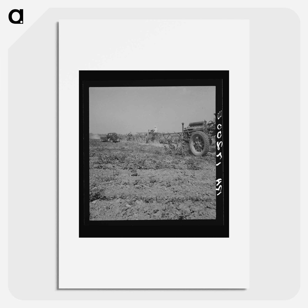 Aldridge Plantation, Mississippi - Dorothea Lange Poster.