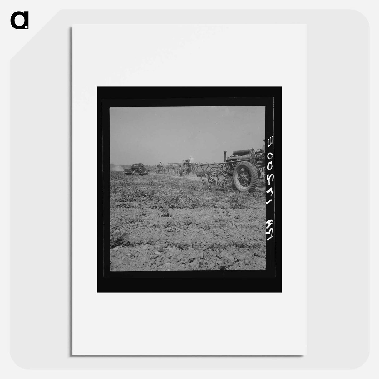 Aldridge Plantation, Mississippi - Dorothea Lange Poster.
