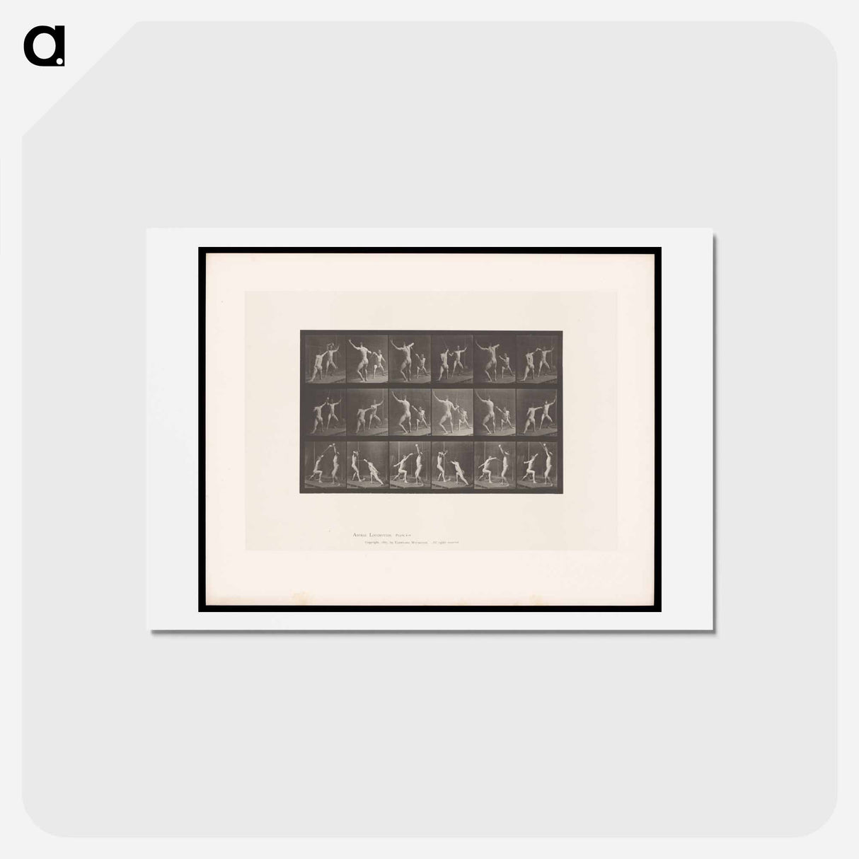 アートポストカード-Fencing Men
- エドワード マイブリッジ Postcard.