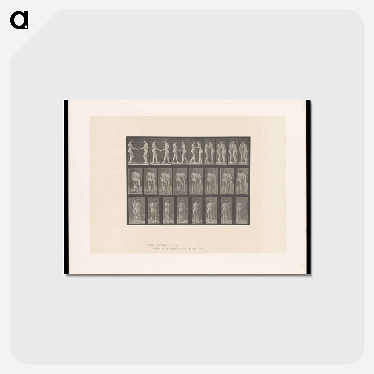 アートポストカード-The Kiss
- エドワード マイブリッジ Postcard.