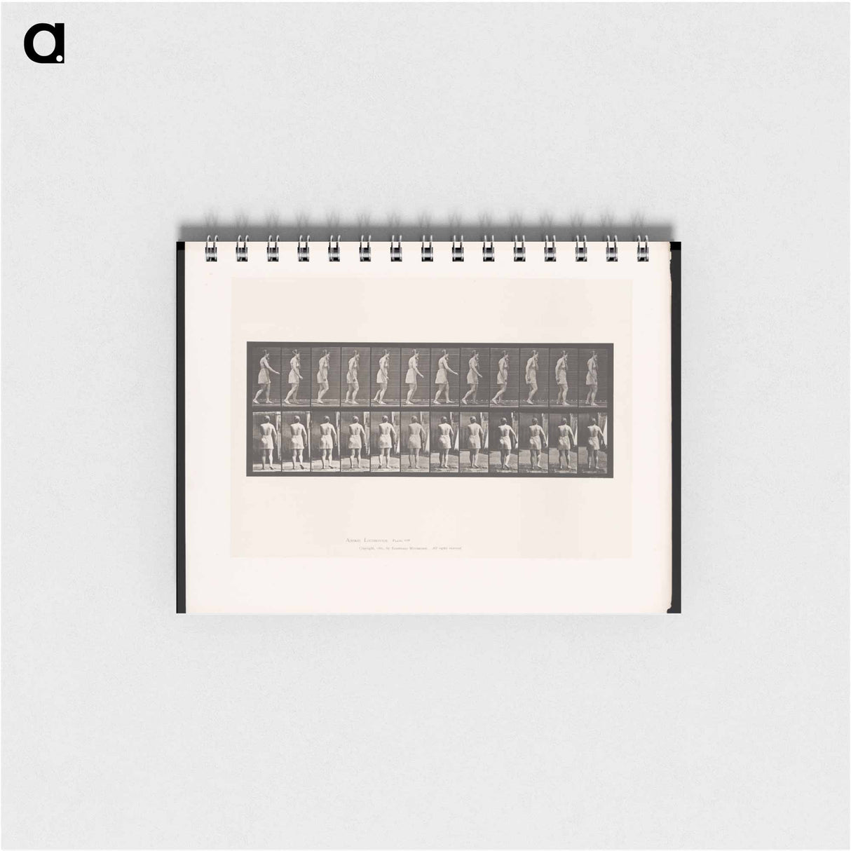 アートメモ帳-Walking Figure
- エドワード マイブリッジ Memo.