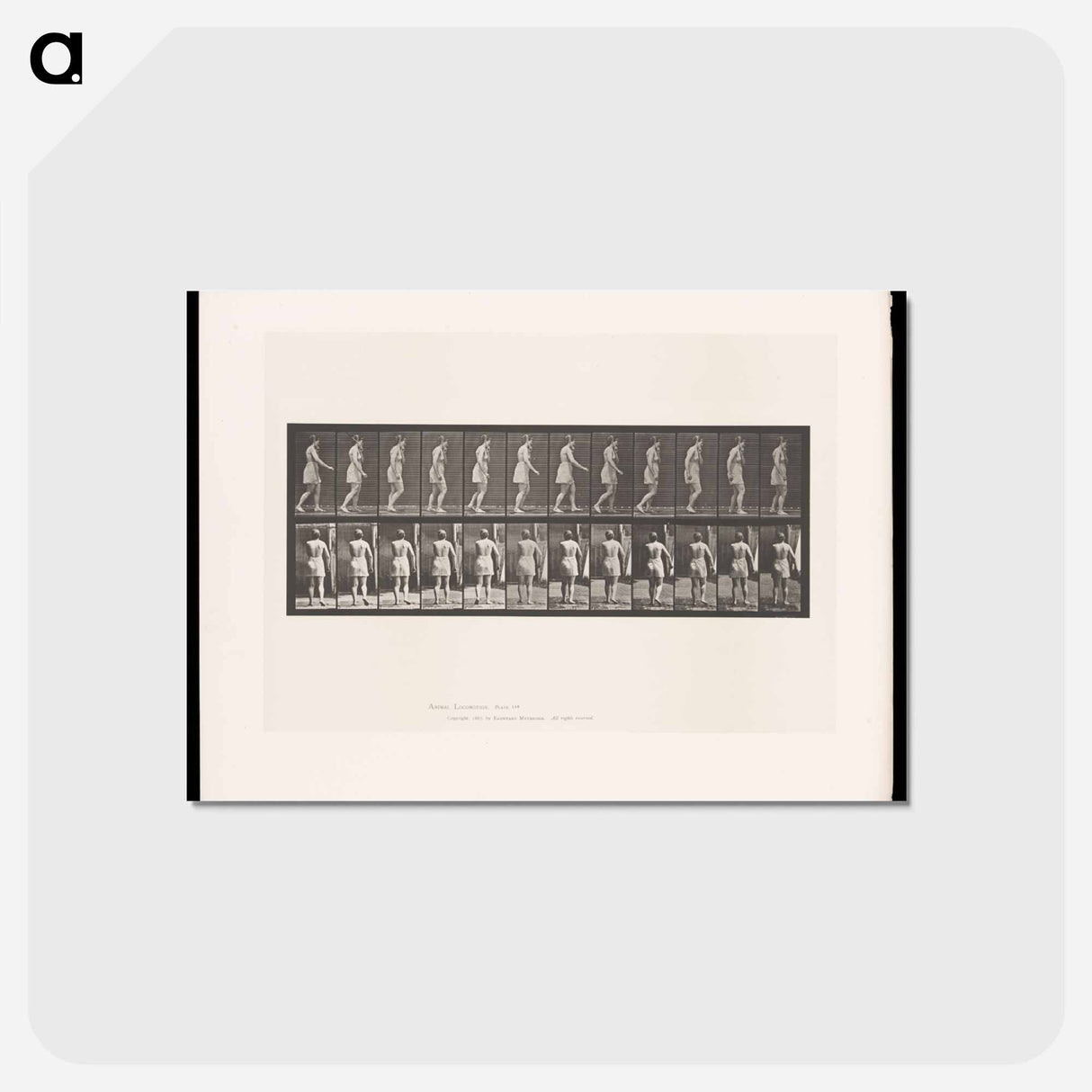 アートポストカード-Walking Figure
- エドワード マイブリッジ Postcard.