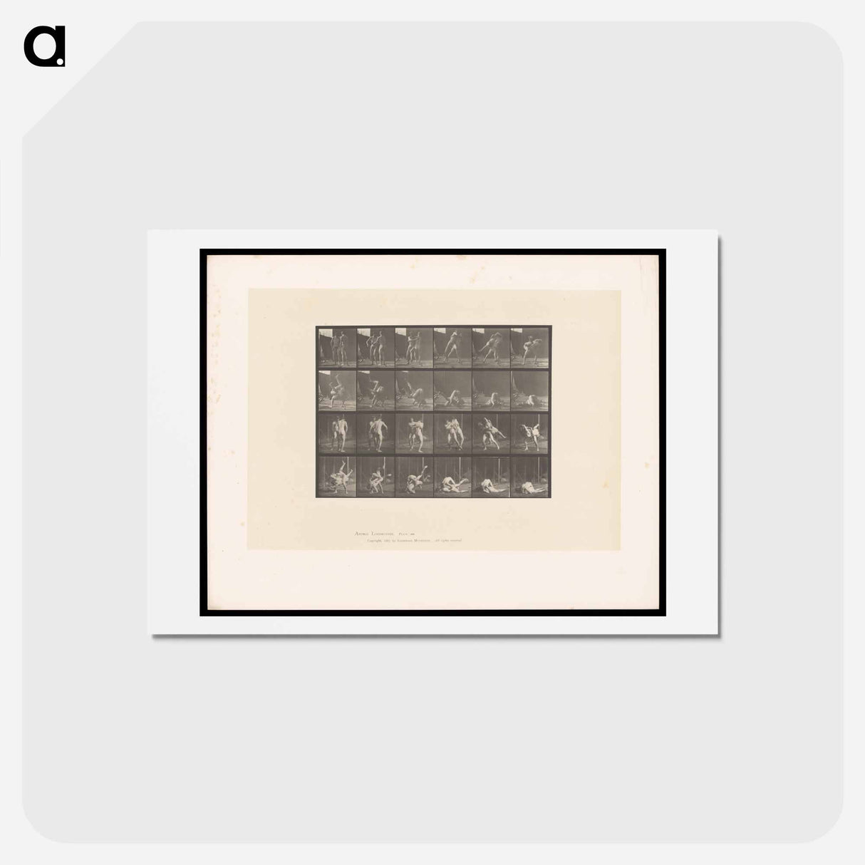 アートポストカード-Wrestling Men
- エドワード マイブリッジ Postcard.