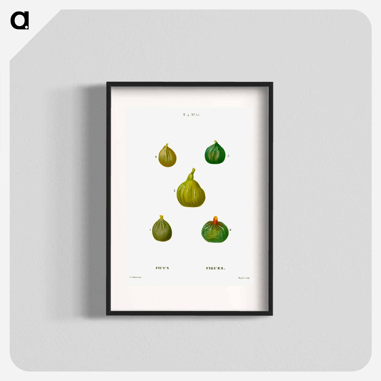 Figs, Ficus - Pierre-Joseph Redouté Poster.