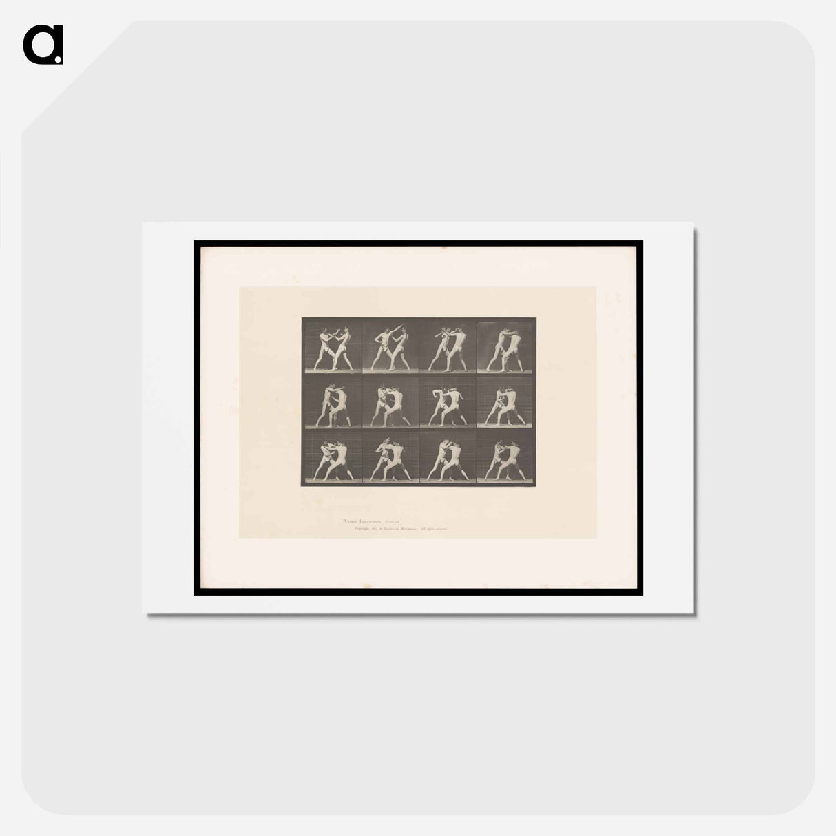 アートポストカード-Pugilists in Motion
- エドワード マイブリッジ Postcard.