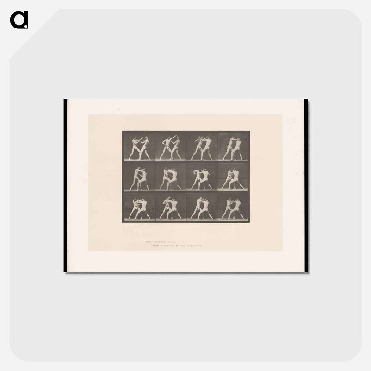 アートポストカード-Pugilists in Motion
- エドワード マイブリッジ Postcard.