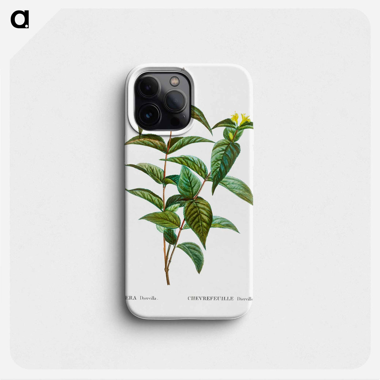 Northern bush honeysuckle - Pierre Joseph Redouté Phone Case.