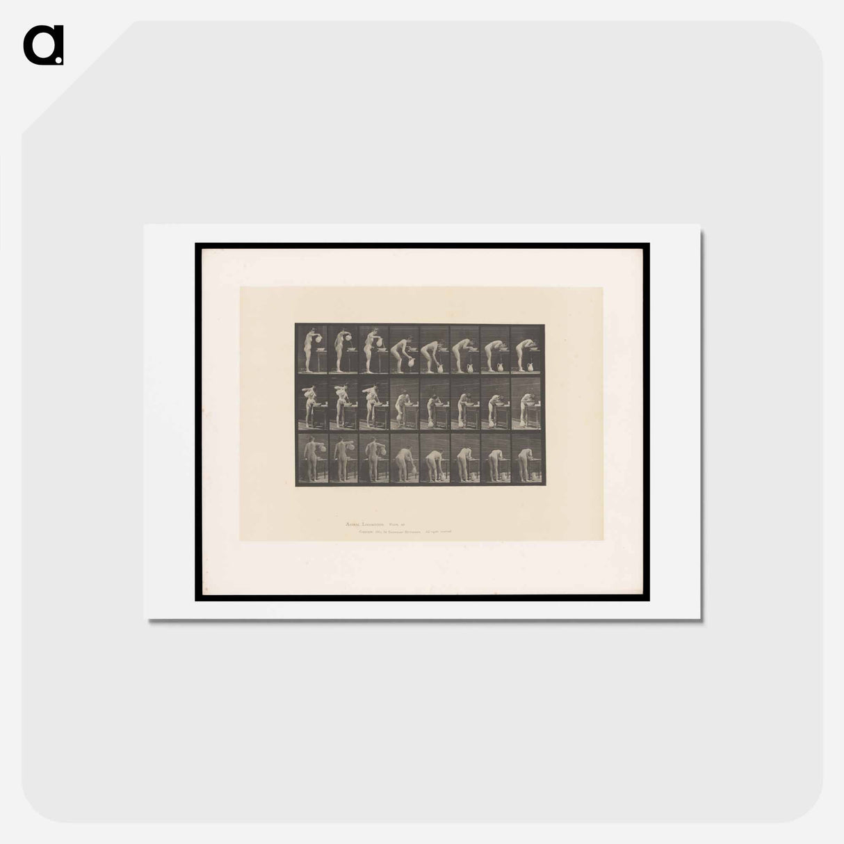 アートポストカード-Washing Face
- エドワード マイブリッジ Postcard.