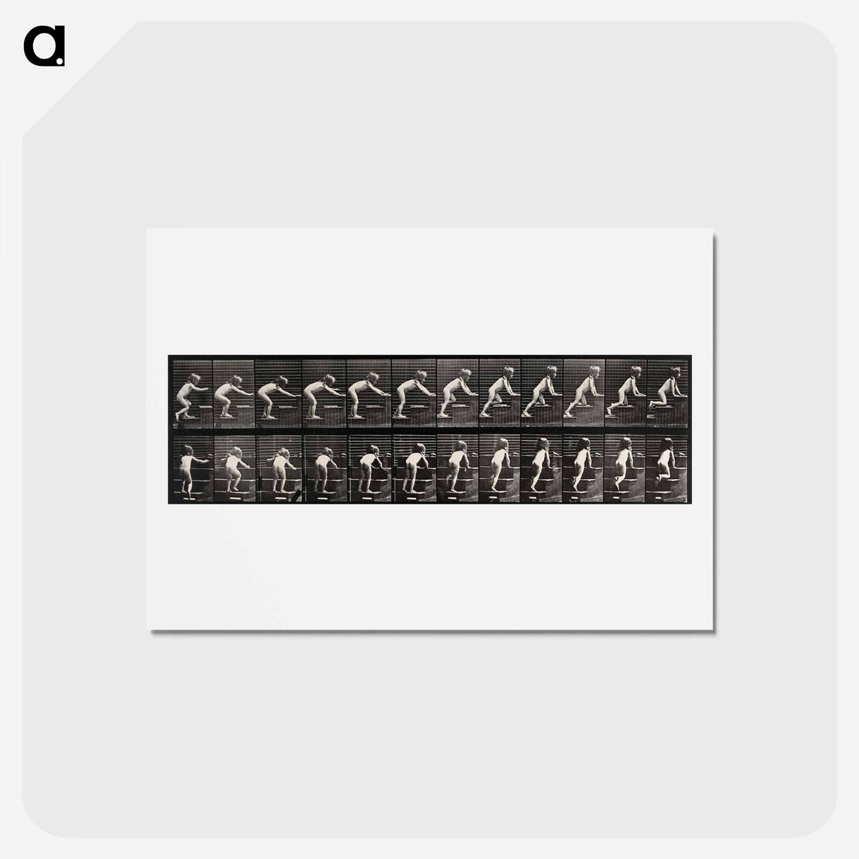 アートポストカード-Crawling Up Stairs
- エドワード マイブリッジ Postcard.