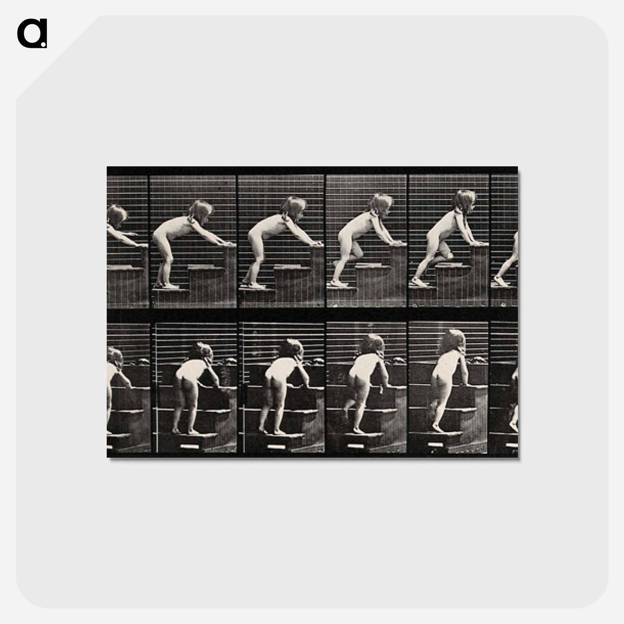 アートポストカード-Crawling Up Stairs
- エドワード マイブリッジ Postcard.