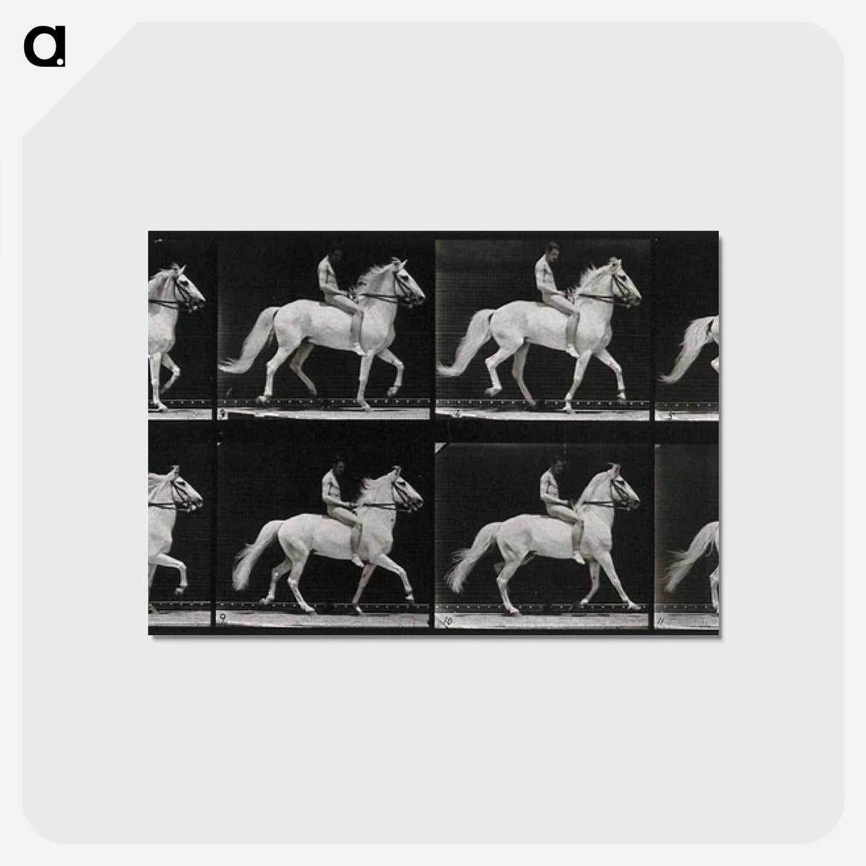 アートポストカード-Walking Horse
- エドワード マイブリッジ Postcard.