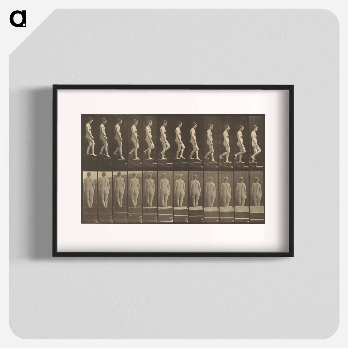 アートポスター-Animal Locomotion
- エドワード マイブリッジ Poster.