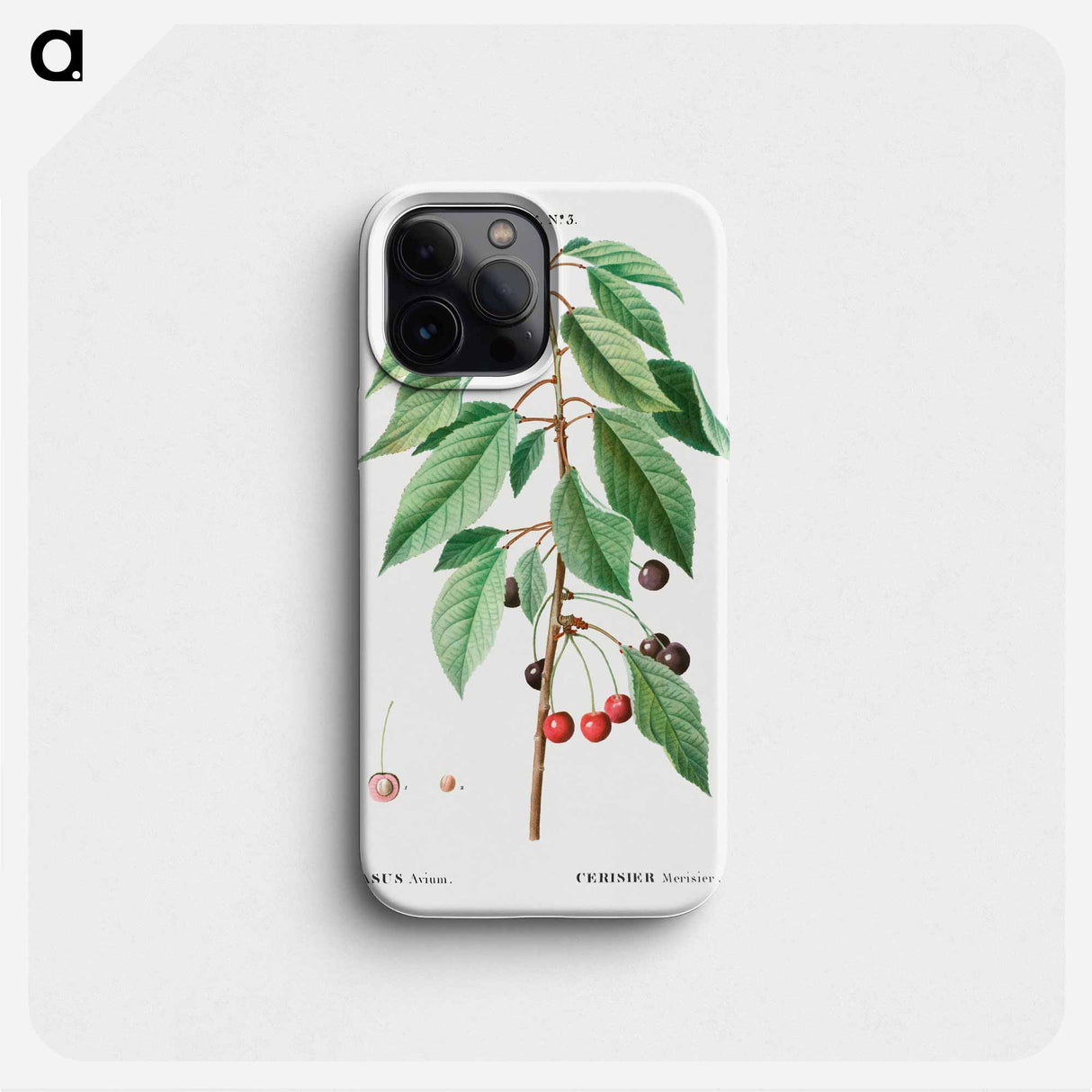 Wild cherry - ピエール ジョゼフ ルドゥーテ Phone Case.