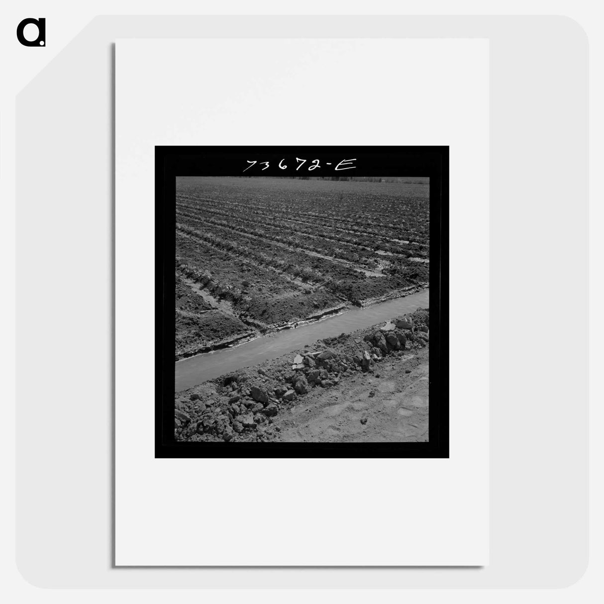 アートポスター-Celery Field, Malheur County
- ラッセル リー Poster.