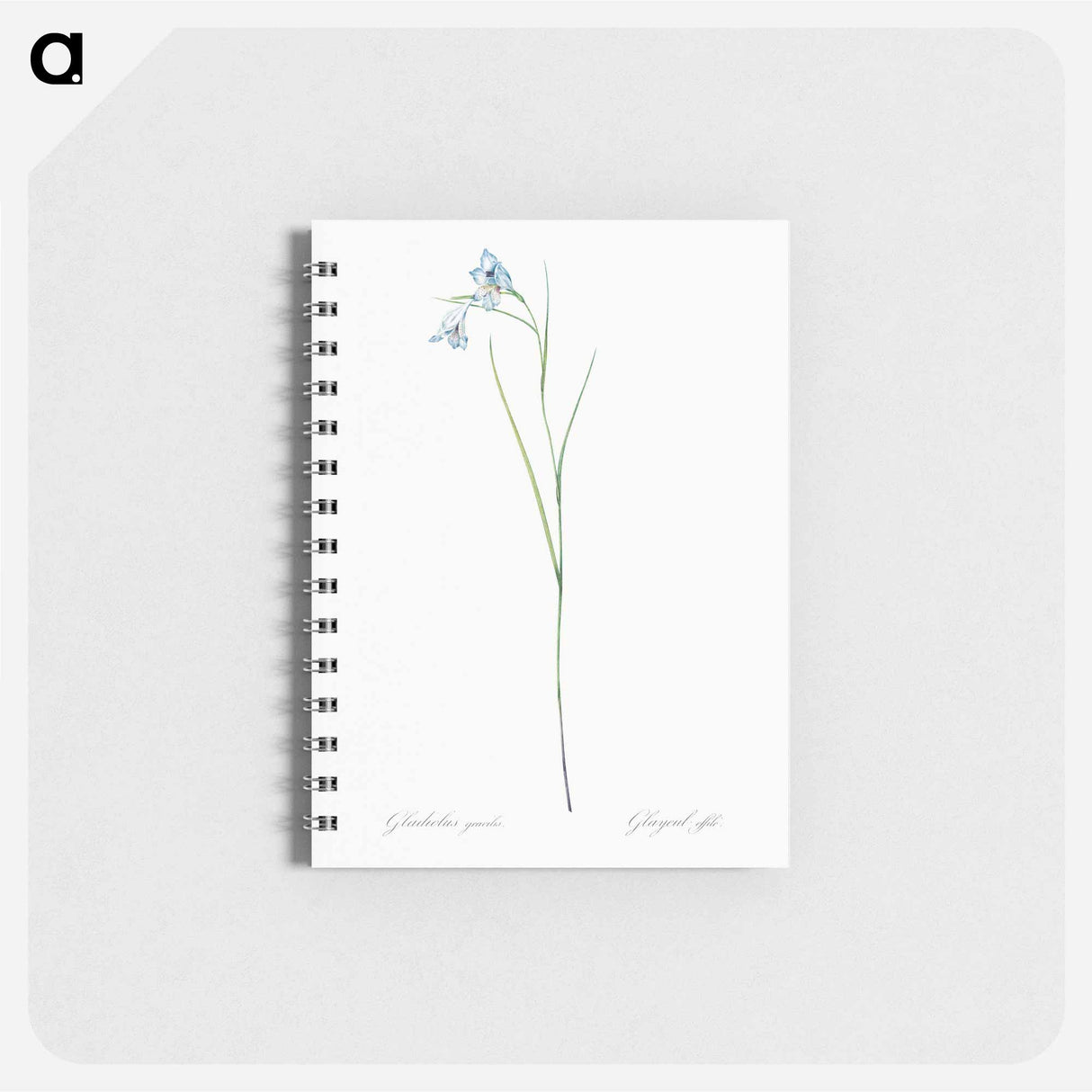 Blue pipe illustration - ピエール ジョゼフ ルドゥーテ Memo.