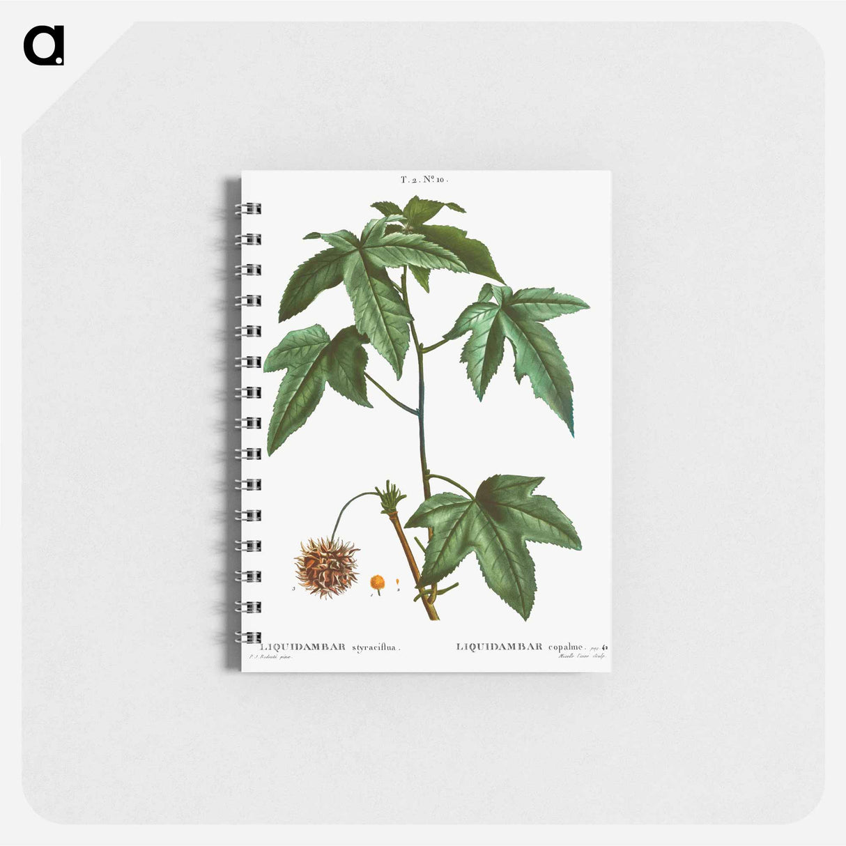 アートメモ帳-Sweetgum - ピエール ジョゼフ ルドゥーテ Memo.