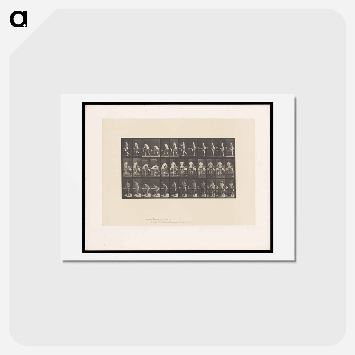 アートポストカード-Ironing Nude
- エドワード マイブリッジ Postcard.