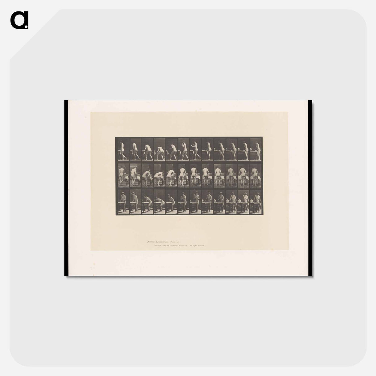 アートポストカード-Ironing Nude
- エドワード マイブリッジ Postcard.