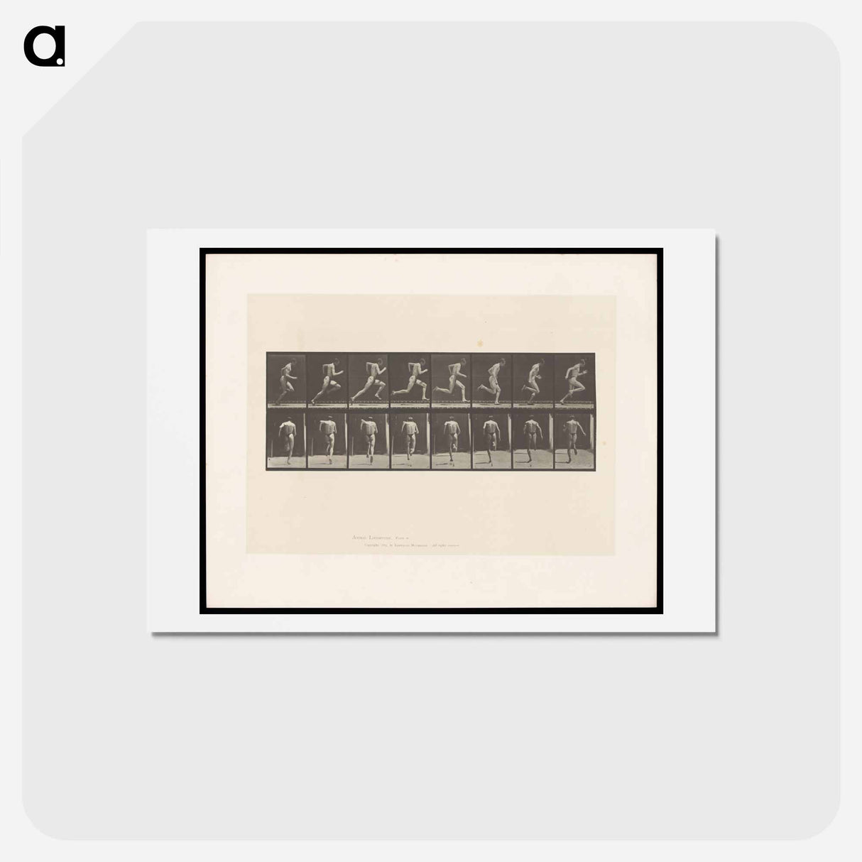 アートポストカード-Sprinting Man
- エドワード マイブリッジ Postcard.