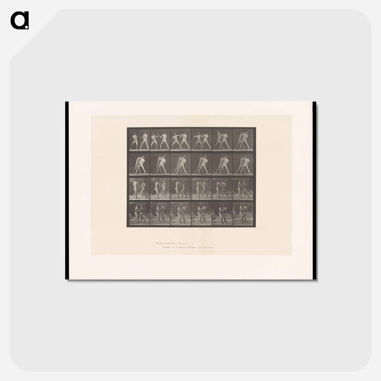 アートポストカード-Bare-Knuckle Boxing
- エドワード マイブリッジ Postcard.